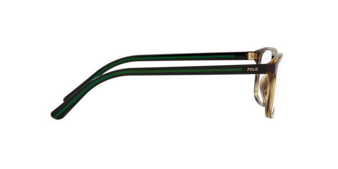 Polo Ralph Lauren PH2239U 5003  